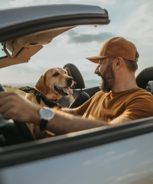 Photo of mature man traveling with his dog in a convertible